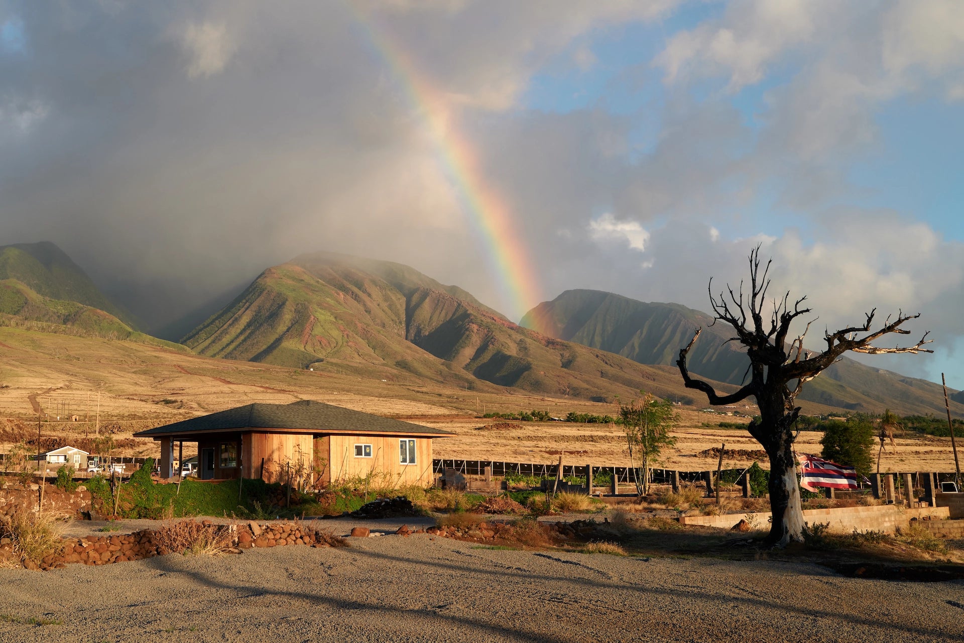 Fine Art Print - Lahaina Rainbow
