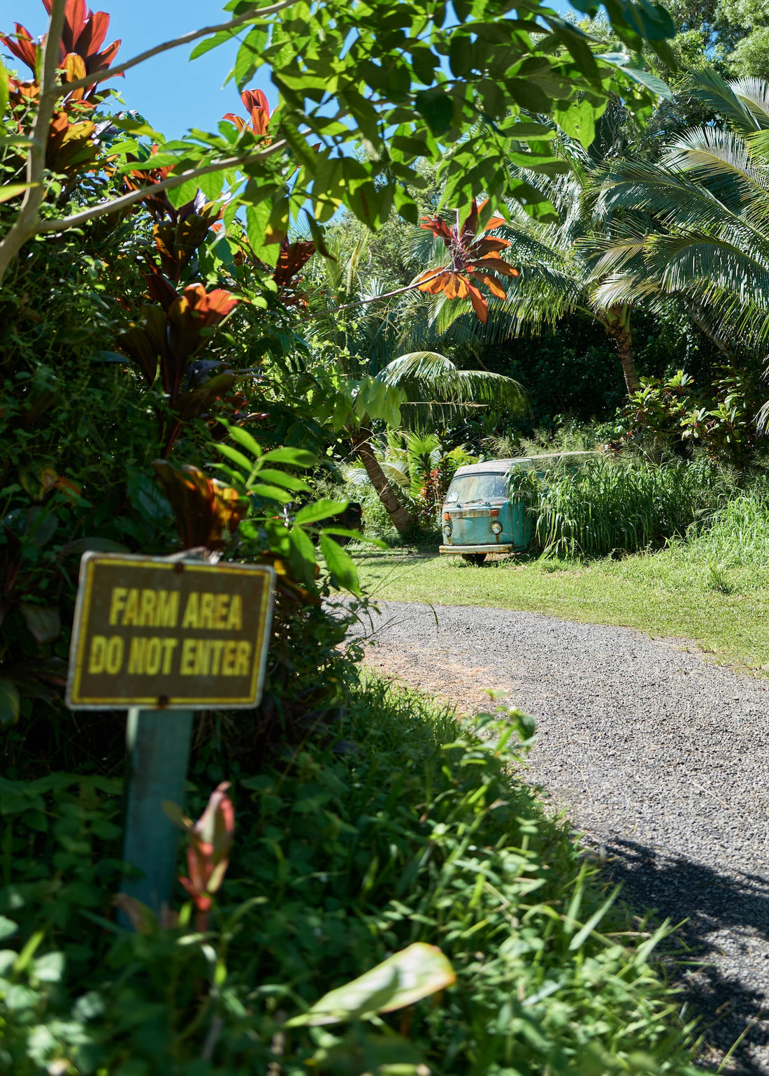 Fine Art Print - Farm Area